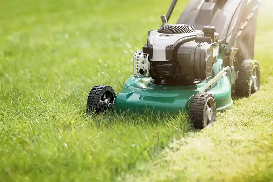 Can you mow wet grass in Brockton, MA