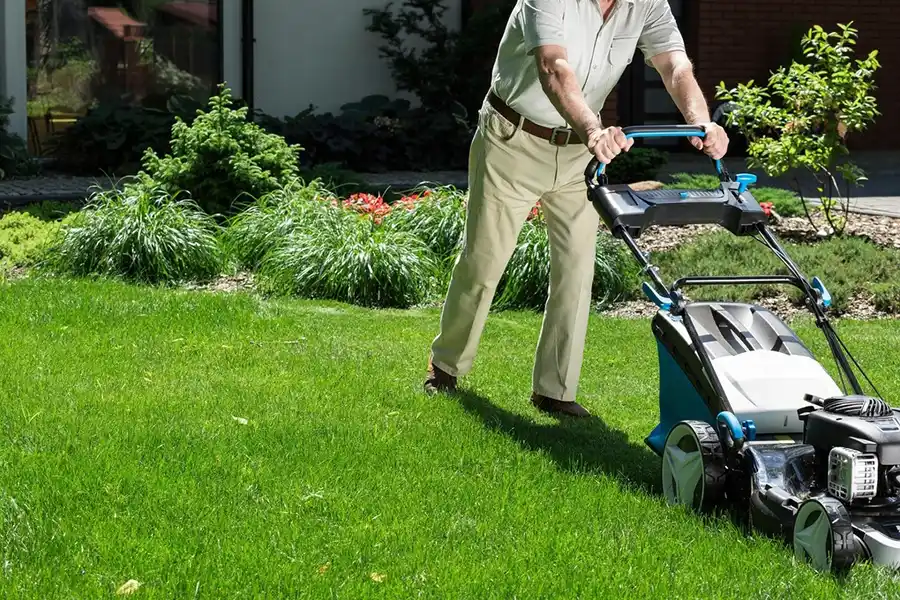 Can you mow wet grass Brockton, MA