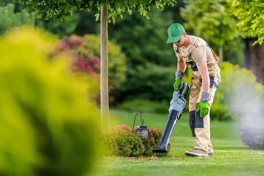 How To Clean A Backyard Brockton, MA