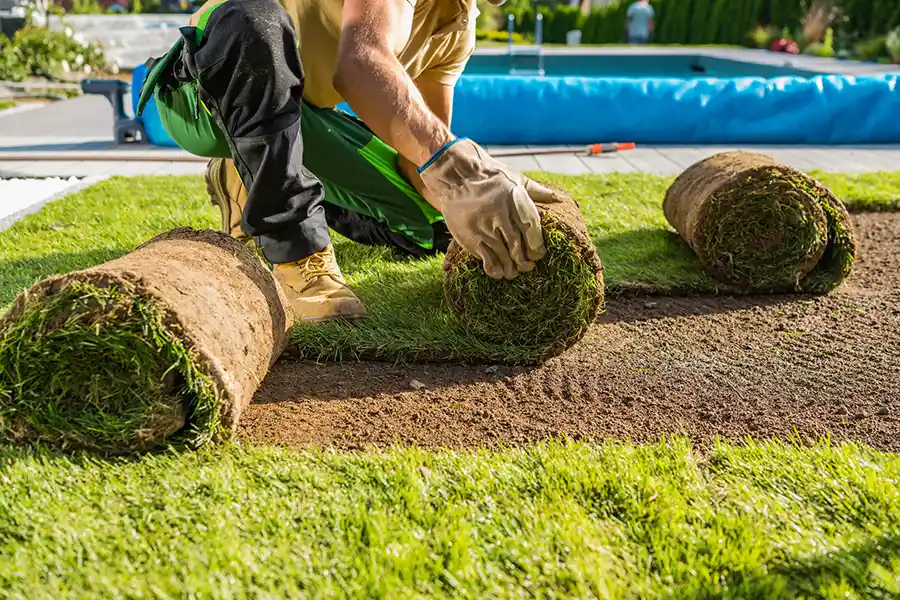 How long after installing sod can you walk on it in Brockton, MA