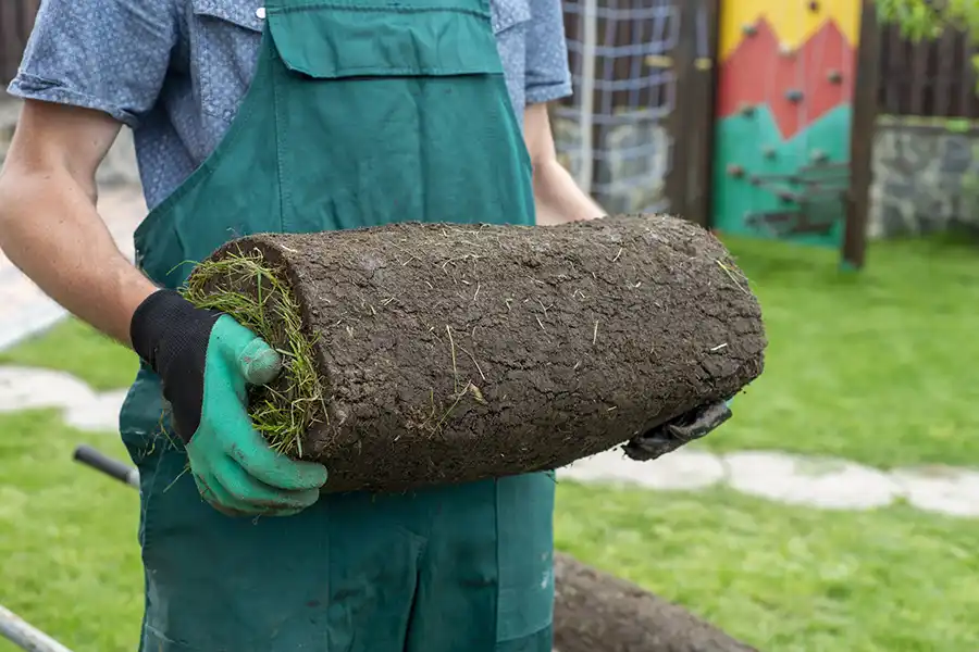 How to lay sod over existing lawn Brockton, MA