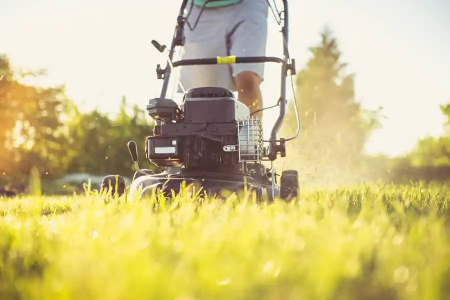 How to mow a lawn Brockton, MA