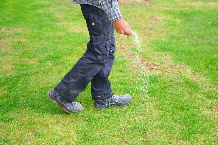 Efficient Lawn Fertilization in Brockton, MA