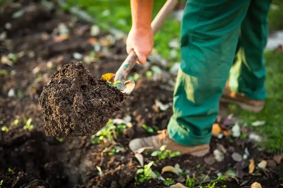 Reliable Mulching in Brockton, MA