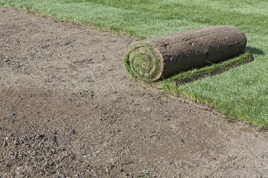 Efficient Sod Installation in Brockton, MA