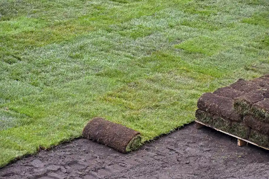 Best Sod Installation in Brockton, MA