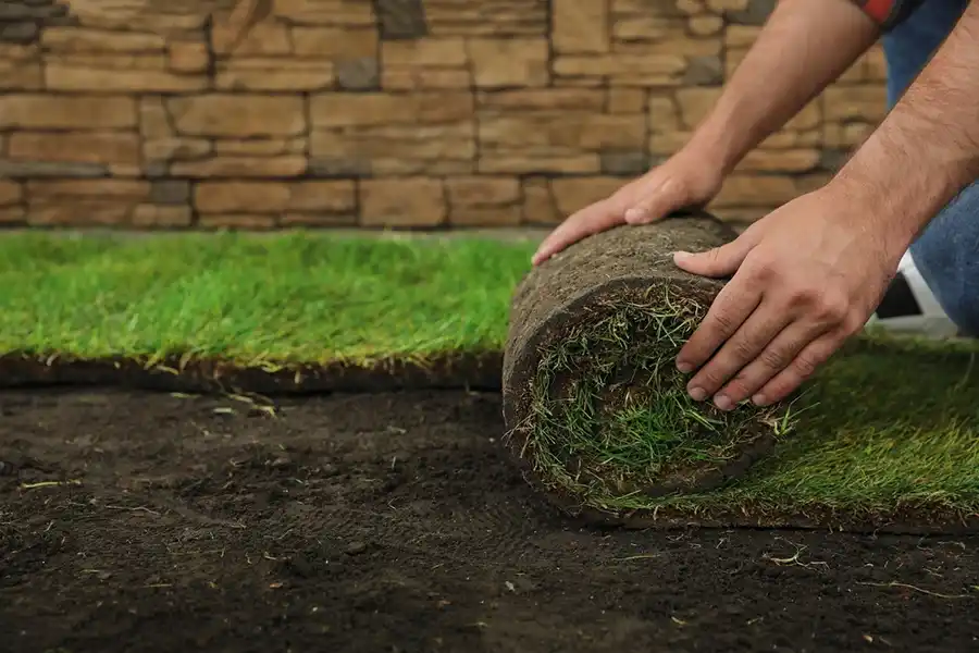 Reliable Sod Installation in Brockton, MA