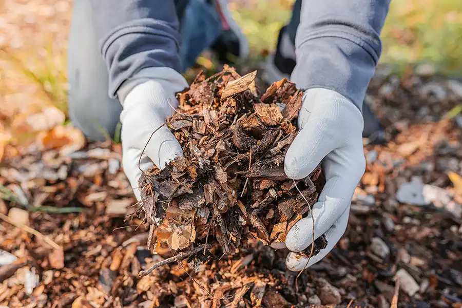 What does mulch do Brockton, MA