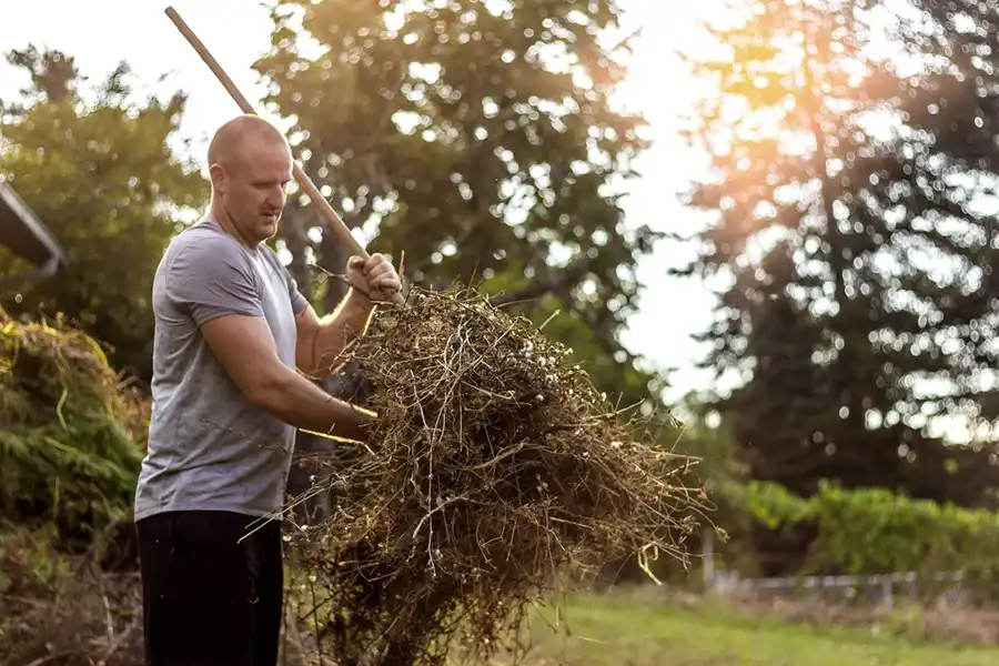 Efficient Yard cleanup in Brockton, MA