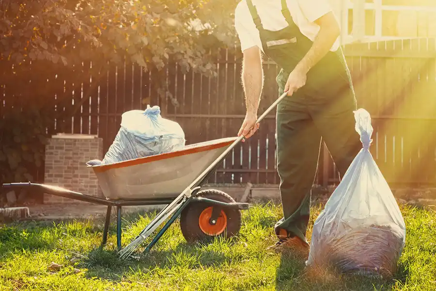 Best Yard cleanup in Brockton, MA